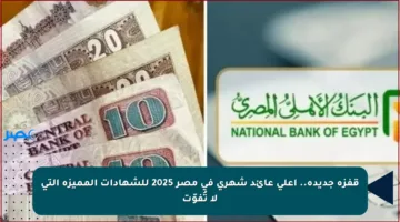 قفزة جديدة.. أعلى عائد شهري في مصر 2025 للشهادات المميزة التي لا تُفوّت